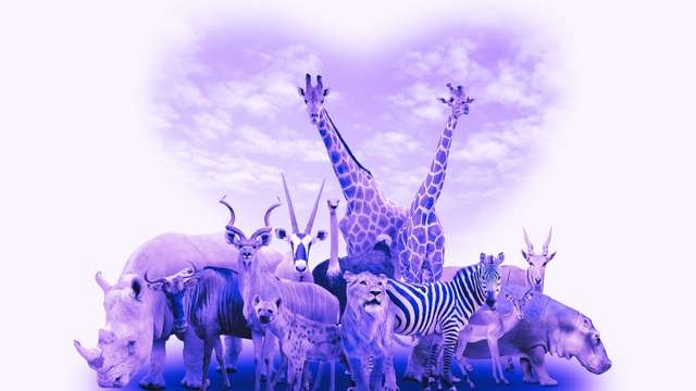 15 Meanings of Dreaming About Animals